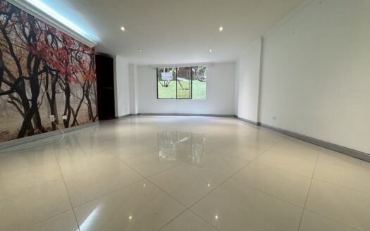 Apartamento en arriendo San Lucas