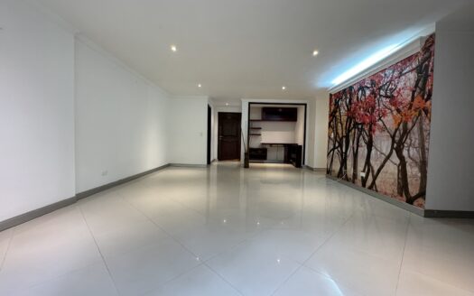 Apartamento en arriendo San Lucas